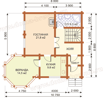 ���� ������� �����